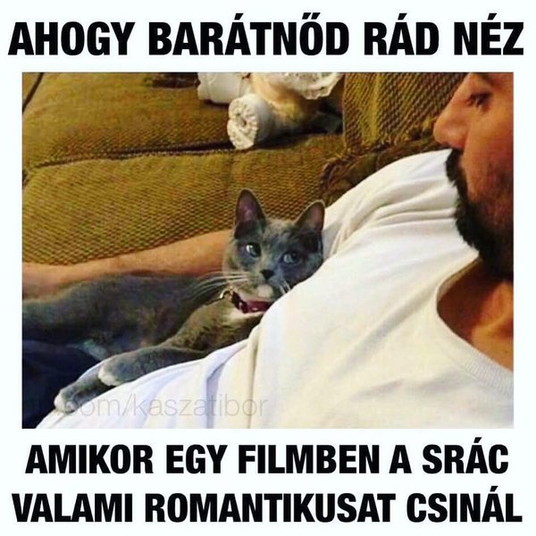 Thumbnail of bfbd-wyhuut-6d322789203344ec 0