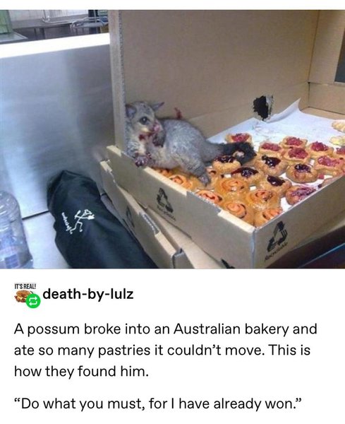 Thumbnail of p-b24fq2fb7au-6d5e215d4e9d4bc6 0