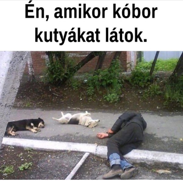 Thumbnail of p-bkpstjklliz-6d5f4525952b4b14 1