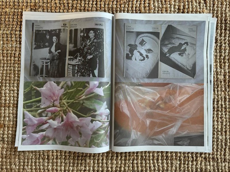 Thumbnail of tcunkte-8-6d7f24aed8ea4c9e 1