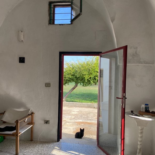 Thumbnail of p-cyqllzfsfxx-6dd24aab01ec42f8 3