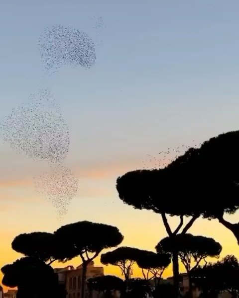 Thumbnail of p-c2zdoqbnxz4-6e2572ba74384da9 3