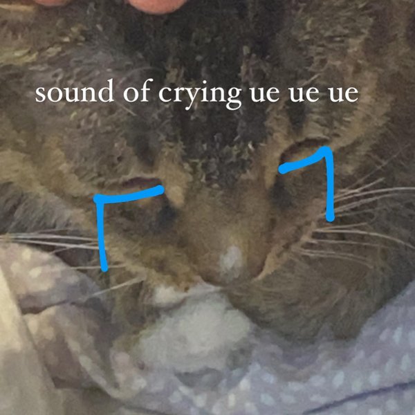 Thumbnail of p-cjzopmngcq8-6e4dd6c290f84297 3