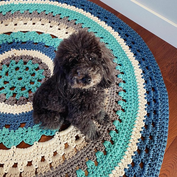 Thumbnail of cemnck-is82-6e5b1fbd74da412d 0