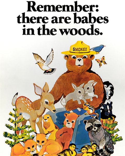 Thumbnail of p-cqtdd02lhnn-6e706b0190f64e95 0