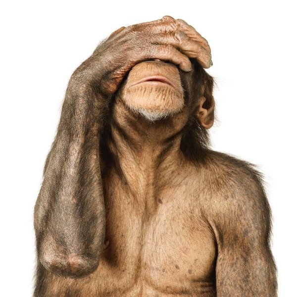 Thumbnail of p-bp42itvj2ye-6e84a44858cc4236 0