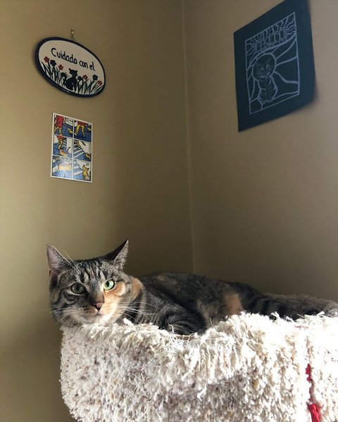 Thumbnail of www-instagram-com-p-csuukqgjusl 3