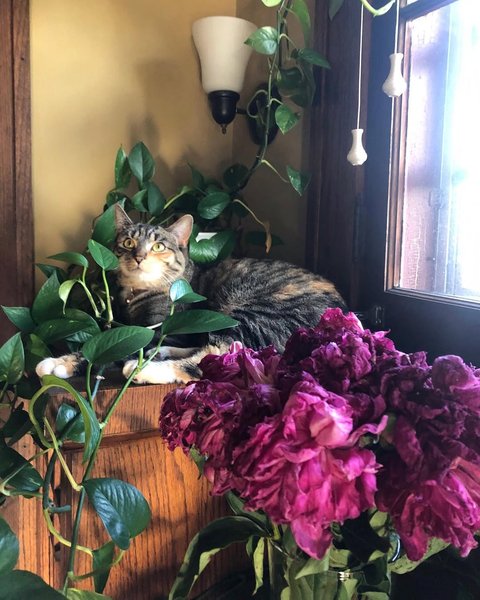 Thumbnail of www-instagram-com-p-csuukqgjusl 4