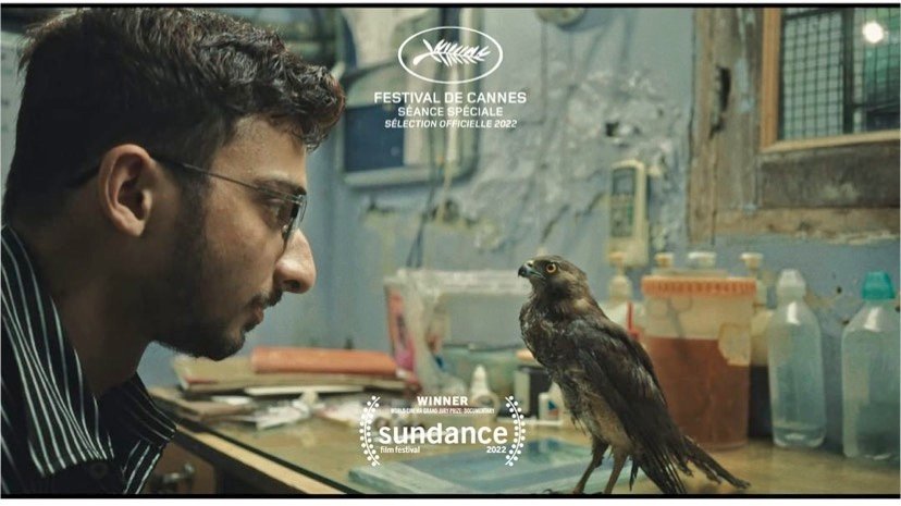 Thumbnail of www-x-com-jairajsinghr-status-1528954730658922496-6ef407f2a5164c0f