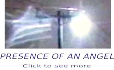 Thumbnail of p-dbjiy8ztq2v-6f28a715addd434f 12