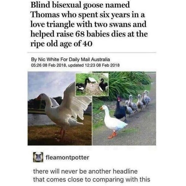 Thumbnail of p-ccfpplqjtuz-6f298e103afd4784 0