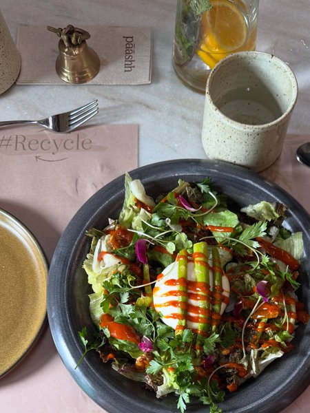 Thumbnail of p-dpnccphitfb-6f35377b3e694229 11