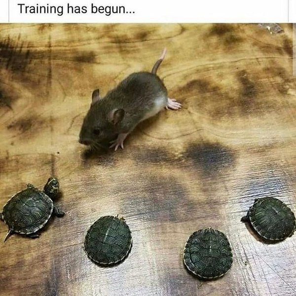 Thumbnail of vwduvlj-4-6fa05c3acb044dc7 1