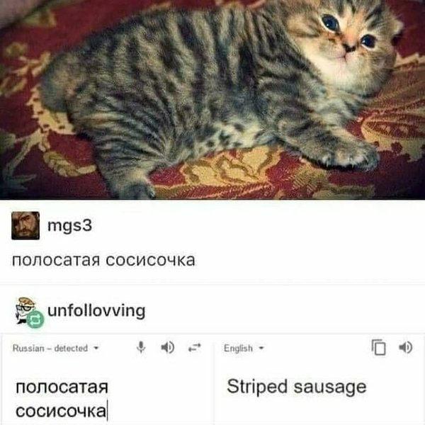 Thumbnail of vwduvlj-4-6fa05c3acb044dc7 2