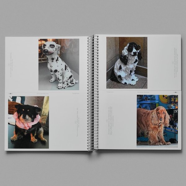 Thumbnail of p-c5yuut7tnll-6fb97a1ee3ee4b41 4