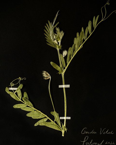 Thumbnail of p-cddtyutsyxs-6fd0d9cfd4f1410a 1