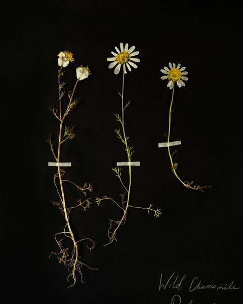 Thumbnail of p-cddtyutsyxs-6fd0d9cfd4f1410a 3