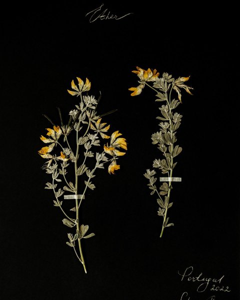 Thumbnail of p-cddtyutsyxs-6fd0d9cfd4f1410a 5