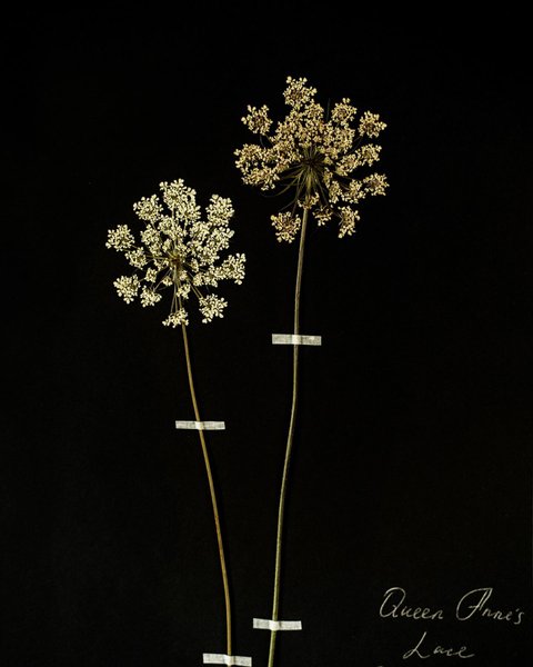 Thumbnail of p-cddtyutsyxs-6fd0d9cfd4f1410a 6