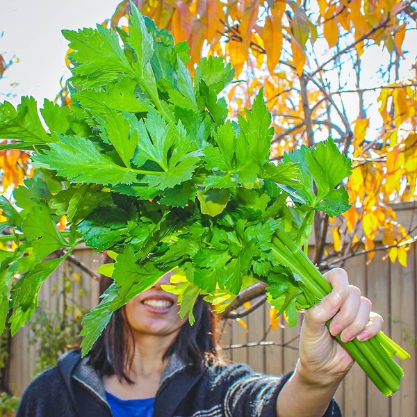 Thumbnail of www-instagram-com-p-cgkrzspalsx 0