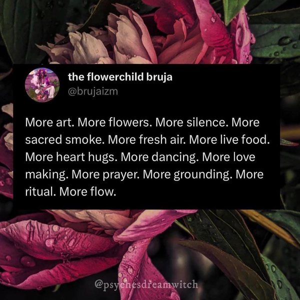 Thumbnail of p-cwalgunrega-702862b451ca4193 3