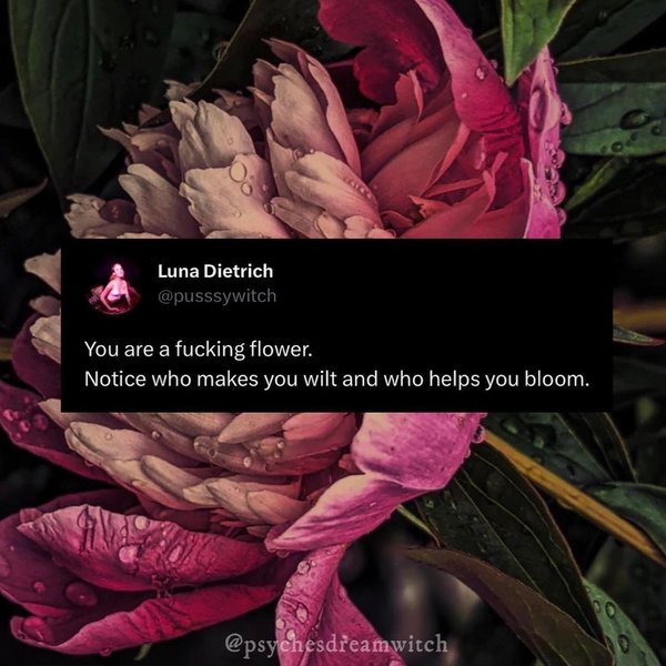 Thumbnail of p-cwalgunrega-702862b451ca4193 5