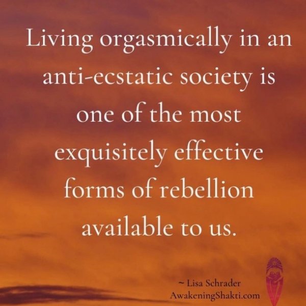 Thumbnail of p-cwalgunrega-702862b451ca4193 7