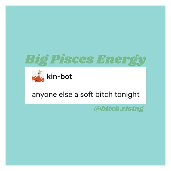 Thumbnail of p-b4vgsrlh3pp-70307e9fb58649df 5