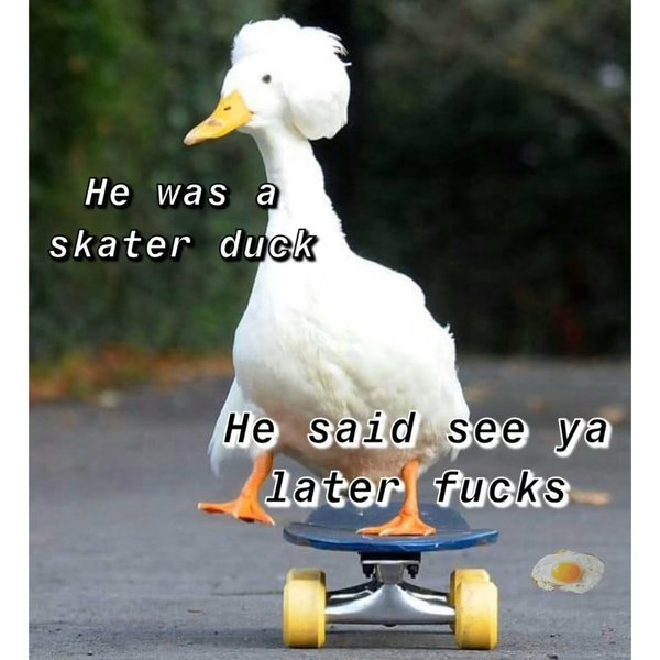 Thumbnail of p-c12nnnkalzl-7030c666d9a84784 2