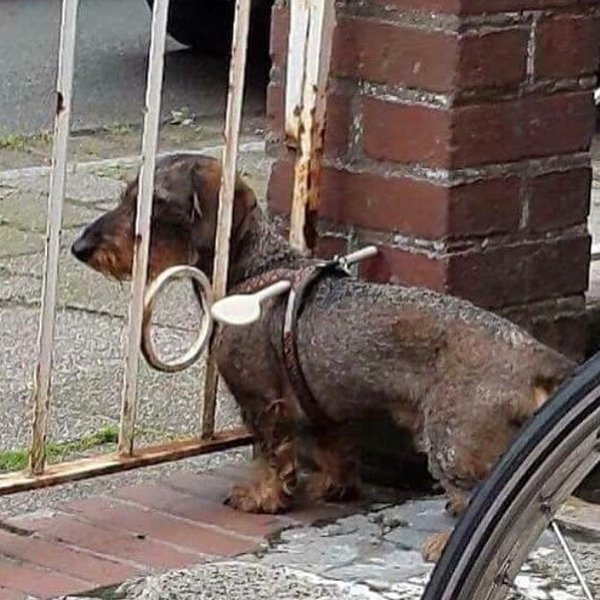 Thumbnail of p-baionuthtgn-703c3806ba764406 0