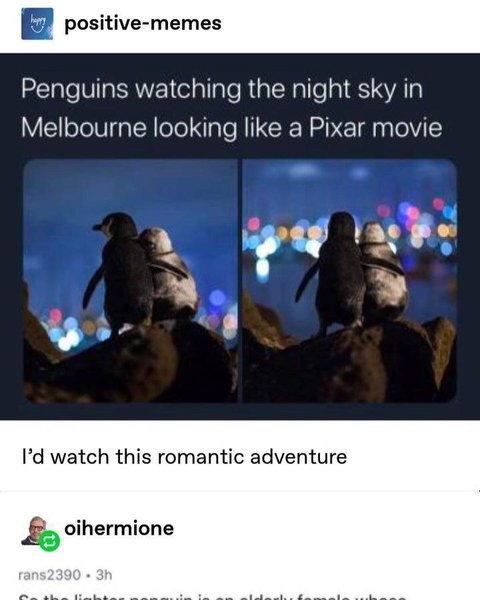 Thumbnail of b-qprjwfnk9-70a996401ea24613 0