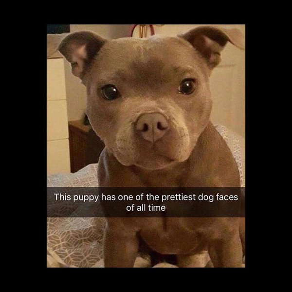 Thumbnail of p-bojb0omlkc2-70bb3adea7e7450a 0