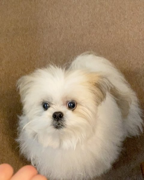 Thumbnail of p-c5gnawohfct-70befab1ed7648e8 0