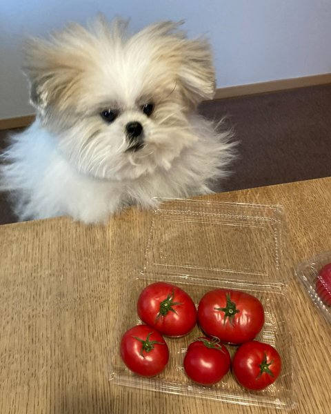 Thumbnail of p-c5gnawohfct-70befab1ed7648e8 1