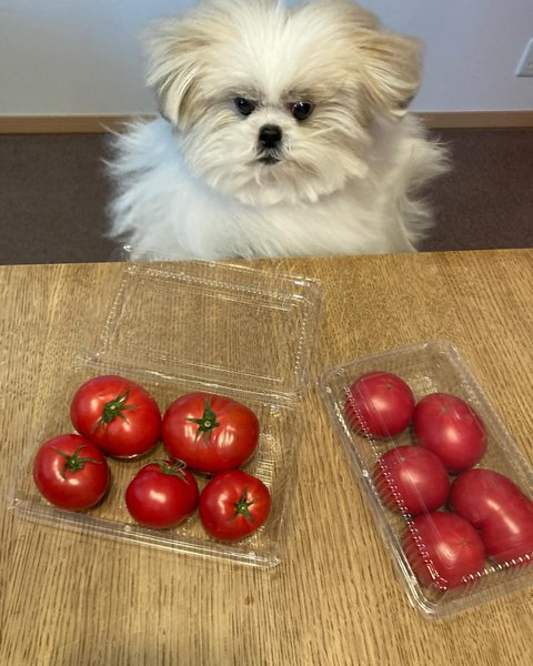 Thumbnail of p-c5gnawohfct-70befab1ed7648e8 2