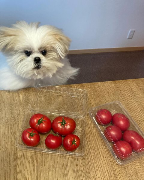 Thumbnail of p-c5gnawohfct-70befab1ed7648e8 3