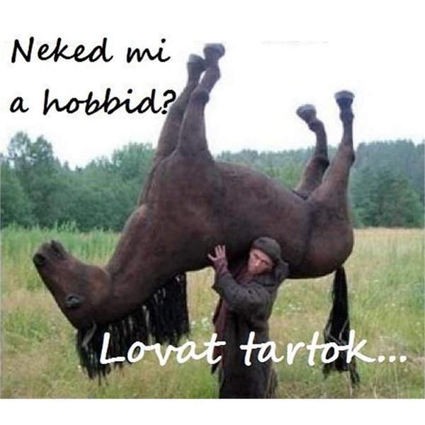 Thumbnail of p-bqdbukbaqtu-70e72f63b9374d5d 2