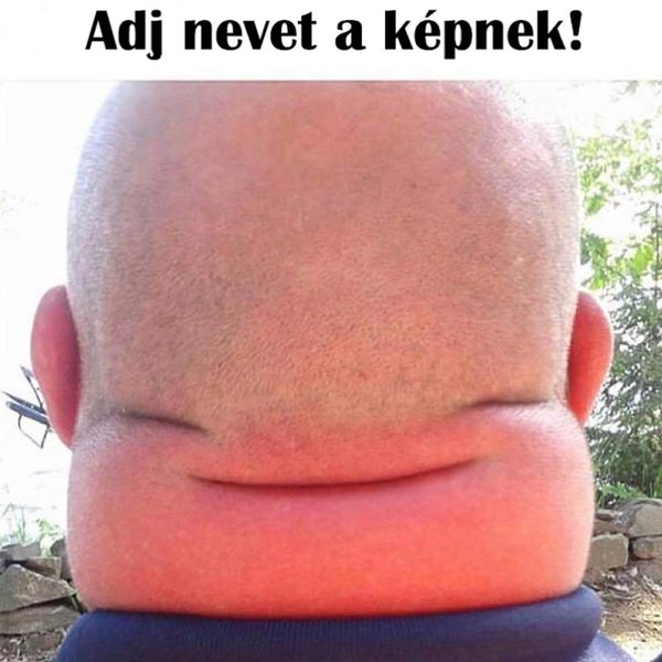 Thumbnail of p-bqdbukbaqtu-70e72f63b9374d5d 4