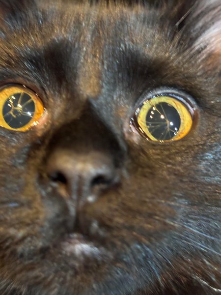 Thumbnail of www-reddit-com-r-weird-s-4hzkaa5utz 0