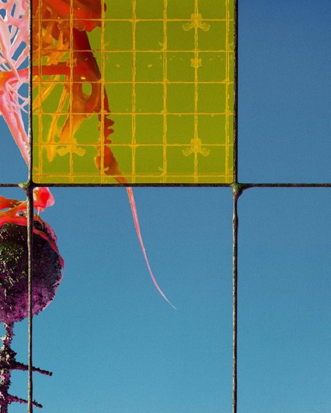 Thumbnail of p-cthtynkx66e-71421f2baadf4a40 2