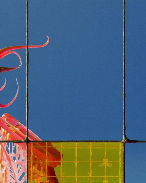 Thumbnail of p-cthtynkx66e-71421f2baadf4a40 4