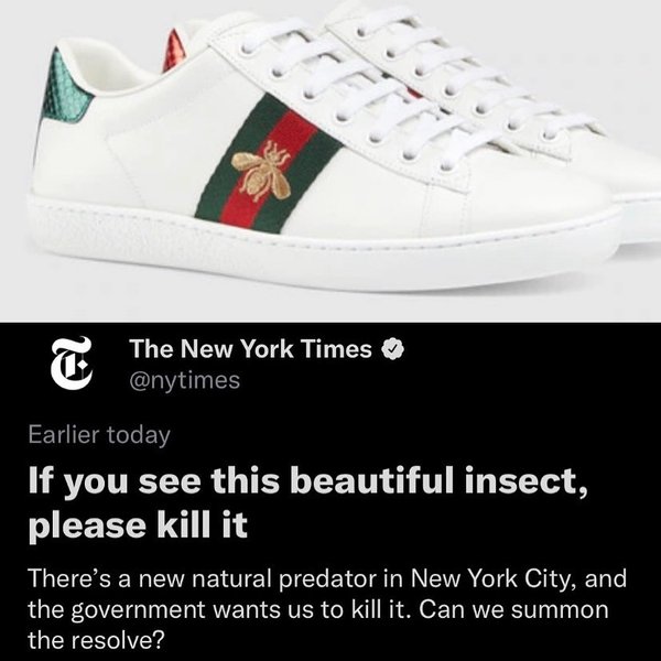 Thumbnail of p-ct7y9swll9n-7146ed83b0f840a2 0