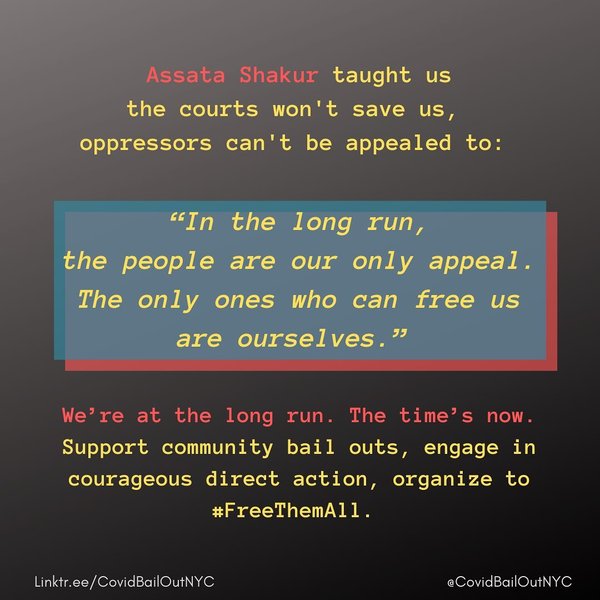 Thumbnail of p-cvqx8lzfxiw-715a9350b26a4620 4