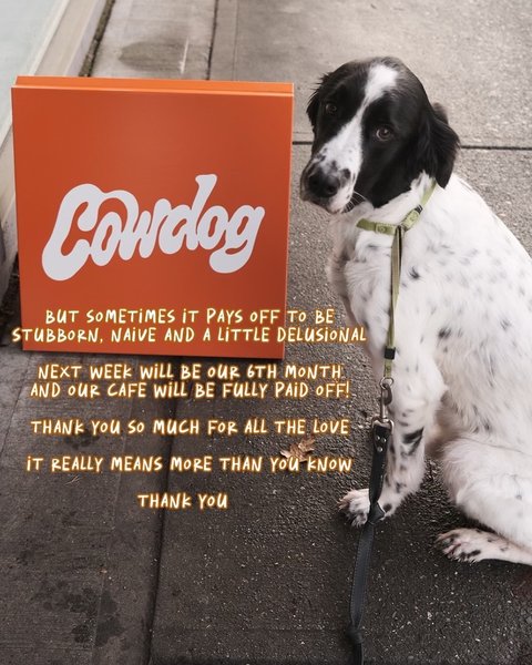 Thumbnail of dd81fm-xoas-71ee89307300437b 12