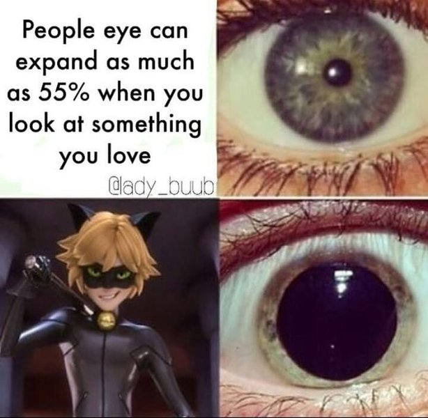 Thumbnail of p-brgmcv0l7fz-7250469cb51a4f76 1