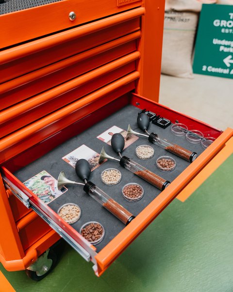 Thumbnail of p-djwejonsnrw-7264c70b002247e7 3