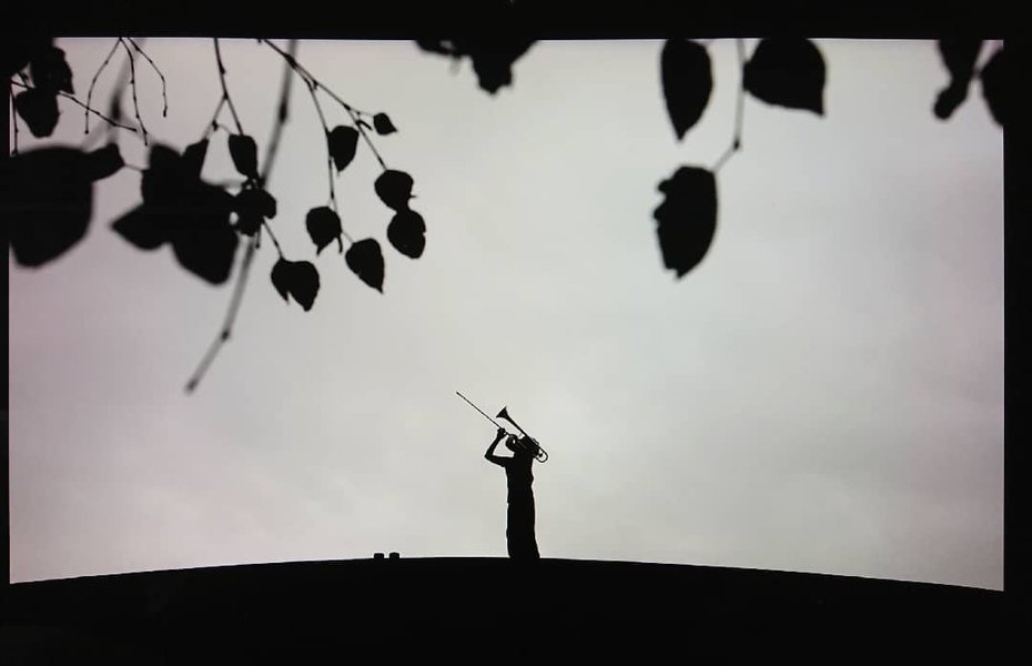 Thumbnail of p-cocbbnpg0uw-72a0dccc229f4dd4 0