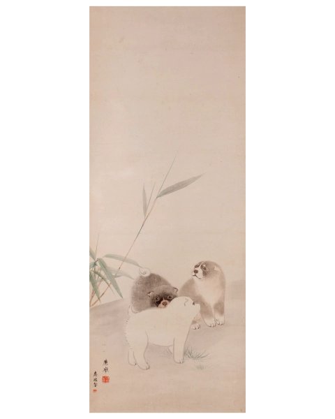 Thumbnail of p-dhnsh7lc7rp-72bf075744f44e88 1