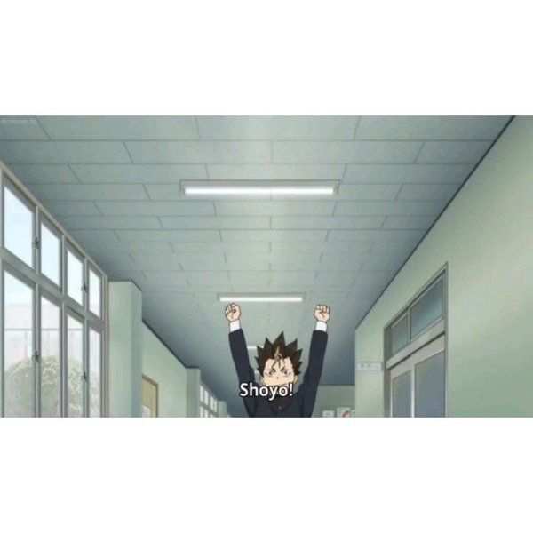 Thumbnail of p-cecihdda6j9-72c609f6d14d4025 1