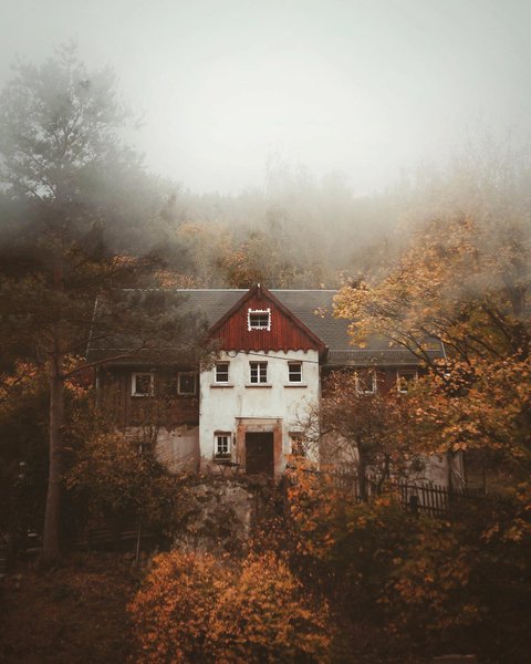 Thumbnail of p-cwxfhptm8tt-72cd4d2020f24925 0